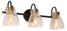 LNC Home HA05080W3 - Aidtyrtm 3-Light Wall Lamp