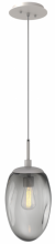 Hammerton LAB0063-01-BS-S-C01-E2 - Meteo Pendant