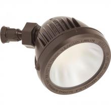 SECURITY LIGHT