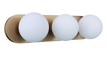 Craftmade 53903-SB - 3 Light Vanity