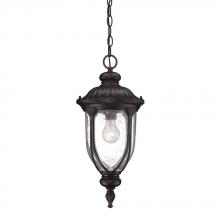 Acclaim Lighting 2216BC - Laurens Collection Hanging Lantern 1-Light Outdoor Black Coral Light Fixture