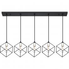 Quoizel HLG544EK - Holograph Island Chandelier