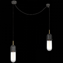 Visual Comfort & Co. Signature Collection TOB 5645BZ/HAB-CG-2 - Junio 2-Light Pendant