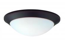 Dolan Designs 5401-78 - Rainier 1Lt Flushmount Bolivian