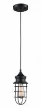 Trans Globe PND-1028 - 1LT MINI PENDANT-INDUSTRIAL CA