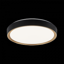 Matteo Lighting M10602BKGL - Alamus Aged Gold Brass + Matte Black Ceiling Mount