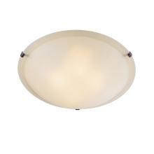 Capital 2822FF-MS - 2 Light Ceiling Fixture