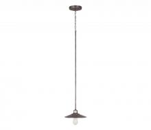 Capital 4190GR - 1 Light Pendant