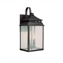 Capital 9112OB - 2 Light Outdoor Wall Lantern
