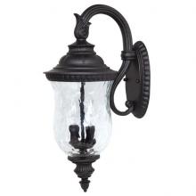 Capital 9782BK - 2 Light Outdoor Wall Lantern