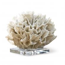 Regina Andrew 20-1022 - Regina Andrew Ribbon Coral (White)