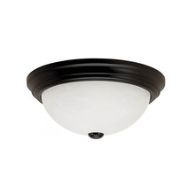 Millennium 561-FTB - 2-Light Flushmount Ceiling Light Fine Tex Black