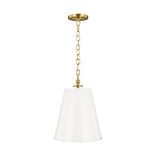 Visual Comfort & Co. Studio Collection TP1012BBS/AWT - Tall Pendant