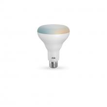 Dals DCP-BLBBR30 - DALS CONNECT PRO Smart BR30 LED Bulb