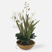 Uttermost 60039 - Uttermost Moth Orchid Planter